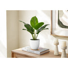 Monarch Specialties - Plante Artificielle - 17 po H - Aureum - Mis En Pot - Touche Réelle - Feuilles Vertes - Pot Blanc-7 feuilles réelles, ajustables, vertes créent une apparence très réaliste