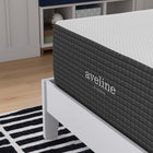 Modway Aveline 14" Memory Foam Twin Mattress-Stretch Knit Zipper Removable Cover