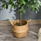 Outsunny - Arbre de laurier artificiel 3 pi en pot - vert - lot de 2-Matériau : PE, PP, Ciment 