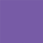 North American Paper Inc. Construction Paper - 9" x 12" - Violet -48 Sheets-12" x 9" (Portrait)
