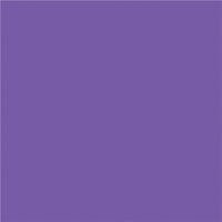 North American Paper Inc. Construction Paper - 9" x 12" - Violet -48 Sheets-12" x 9" (Portrait)