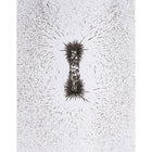 Dowling Magnets Iron Filings - 12 oz. - 3 Pack-Iron filings will have the greatest concentration around the strongest part of a magnet