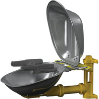 Halo Wall Mount Eyewash Stations, Seb800-Type - Eye/Face Wash