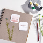 Avery Clean Edge Square Business Cards - 2-1/2" W x 2-1/2" L - Matte White - 180 Pack-2-1/2" W x 2-1/2" L