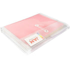 JAM Paper Plastic 2 Divider Envelopes, Button String Tie Closure, Letter Booklet, 10.5 x 11.75 x1.5, Clear, 12 Pack (JSF228)-Material: plastic
