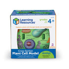 Learning Resources Cross-Section Plant Cell Model-Type: Plant studies
