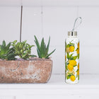 Abbott Lemon Tree Bottle with Strap & Cap-18oz