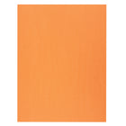 North American Paper Inc. - Papier de bricolage - 18 po x 24 po - orange - 48 feuilles-Parfait pour les projets ou l’artisanat