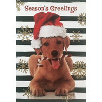 Rosedale 5-1/2" x 8" Greeting Cards/Envelopes - 36442-Value Greeting Cards