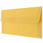 JAM Paper #10 Business Envelopes - 4 1/8" x 9 1/2" - Gold Translucent Vellum - 25 Pack-Size: #10 (4.13 x 9.5 inches)