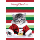 Rosedale 5-1/2" x 8" Greeting Cards/Envelopes - 36438-Value Greeting Cards