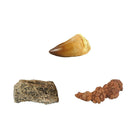 National Geographic Dinosaur Dig Kit-5