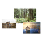 Staples Print Custom Photo Printing-Value Print and Premium Print options to choose from