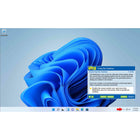 Individual Software Professor Teaches Windows 11 with Skill Assessment-Download
