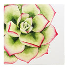 kieragrace KG Raccow Succulent Art - Set of 3, 12" x 12", and 12" x 26", Blue, Purple, White, Green and Yellow-Painted on high quality canvas stretched over MDF frame