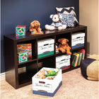 Bankers Box R-Kive Letter/Legal Heavy-Duty Storage Box - Blue - 4 Pack-10" H x 12" W x 15" D