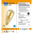 Northern Stars 5W Amber LED ST64 Light Bulb, 2 Pack-5W,120V