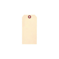 Accuform – Étiquettes vierges manille, 1 3/8 po x 2 3/4 po, 3 paq./100 (SI966)-Papier cartonné manille