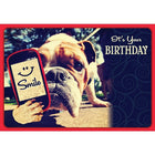 Millbrook Studios 5-3/8" x 7-3/4" It's Your Birthday Greeting Cards and Envelopes, 18 Pack (06215)-Printed on uncoated card stock