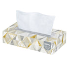 Kleenex Professional Facial Tissue - 2-Ply - Flat Facial Tissue Boxes for Business - Convenience Case - White - 12 Pack-2-Ply