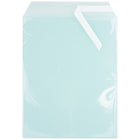 JAM Paper Cello Sleeves, 8 15/16 x 11.25, Aqua Blue, 100 Pack (811BL1)-Weight: 0.8 lbs