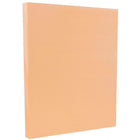 JAM Paper Vellum Bristol Cardstock, 8.5 x 11, 67lb Peach, 2 packs of 50 (169830g)-Size: 8-1/2" x 11"