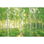 Komar Sunday Wall Mural, 100" x 145"-8 Panel Mural