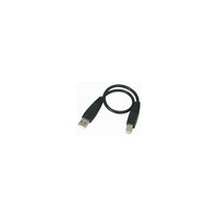 StarTech Câble USB A/B mâle à mâle USB2HAB1 de 1 pi-Interface USB 2.0 haute vitesse pouvant transférer des données à des vitesses de 482 Mb/s