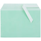 JAM Paper Cello Sleeves, A7, 5-1/16" x 7-3/16", Green, 100 Pack (2783135)-Weight: 0-1/2 lbs