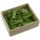 Jam Paper – Pince épingle à linge en bois, moyenne, 1 1/8, vert, 5 paquets de 50, total de 150 (2300729147g)-Pinces à linge en bois, moyennes (mini)