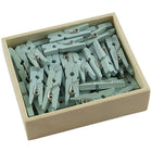 JAM Paper Wood Clothing Pin Clips, Small, 7/8, Blue, 4 Packs of 50, 200 Total (2230717361g)-Size: 7/8"