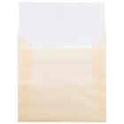 JAM Paper 5.5 x 5.5 Square Envelopes, Spring Ochre Ivory Translucent Vellum, 50 Pack (1591909I)-Envelope Size: 5.5" x 5.5"