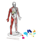 Discovery Mindblown Toy Human Anatomy Kit-Role-play fun: Ignite young minds with career play doctor check-up games and activities, fostering an understanding of the human body while inspiring interest in biology, physiology, and related scientific fields.