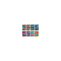 North Star Teacher Resources Great Women of America Bulletin Board Set, 11" x 17", 8/Set (NST3077)-Measures 11" x 17"