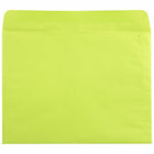 JAM Paper 9" x 12" Booklet Catalog Coloured Envelopes - Ultra Lime Green - 250 Pack-Size: 9 x 12 inches