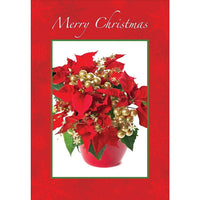 Merry Christmas, Poinsettia, 18 Pack-Printed on premium coated card stock