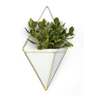 Umbra Trigg Wall Display, Large, White and Brass (470752-524)-9 x 3.75 x 15" (22.9 x 9.5 x 38.1 cm)