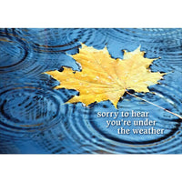 Millbrook Studios 5-3/8" x 7-3/4" Sorry To Hear Greeting Cards and Envelopes, 18 Pack (06760)-Printed on uncoated card stock