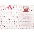 Rosedale Gold - Cartes de souhaits/Enveloppes - Joyeuse St-Valentin Petit-fils enfant (50107) - 5-1/2 po x 8 po - paquet de 6-Avec fini scintillant et métallique