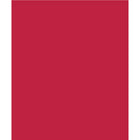 North American Paper Inc. Construction Paper - 12" x 18" - Scarlet - 48 Sheets-18" x 12" (Portrait)