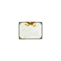 Hayes Border Paper 11" x 8.5", Beige/green, 90 Pack (H-VA653)-Set of 50 eagle border papers for printing award certificates or diplomas