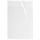 JAM Paper Cello Sleeves with Self Adhesive Closure, 10 x 13, Clear, 1000 Pack (10X13CELLOB)-Size: 10" x 13"