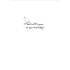 Millbrook Studios 5-3/8" x 7-3/4" Happy Happy Birthday Greeting Cards and Envelopes, 18 Pack (06149)-Card shop quality greeting cards