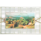 Rosedale Gold 5 1/2" x 8" Greeting Cards/Envelopes - 6 Pack-Card shop quality greeting cards.