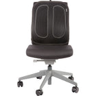 Office Suites Mesh Plus Backrest-Easily attaches to any chair