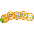 Beleduc Wall Toy Caterpillar "Clock"-High quality