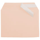 JAM Paper Cello Sleeves, A7, 5 1/16 x 7 3/16, Peach, 100 Pack (2785508)-Weight: 0-1/2 lbs
