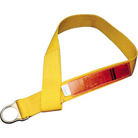 MSA Anchorage Connector Straps, D-Ring, Temporary Use - 2 Pack-Material - Nylon