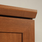 Sauder 435133 HomePlus Storage Cabinet - Sienna Oak-5