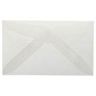 JAM Paper 2Pay Translucent Vellum Envelopes - 2.5" x 4.25" - Clear - 25 Pack -Clear translucent vellum envelope